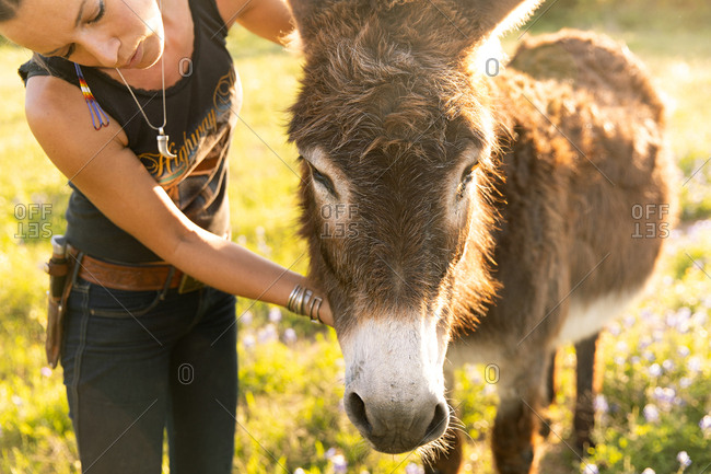 Woman petting a donkey on a farm