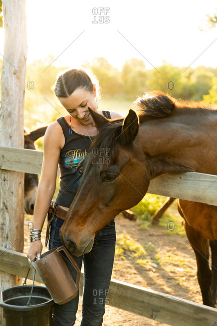 Woman feeding a horse on a farm