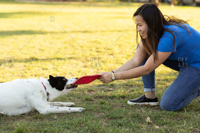 Woman playing with her dog and a toy disc