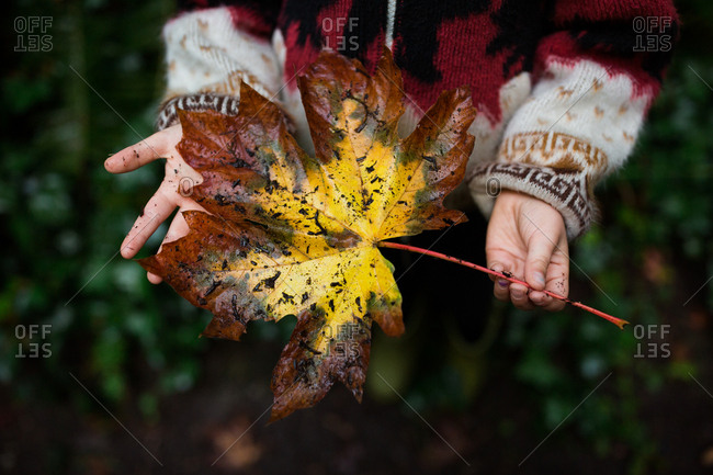 Girl holding large brown and yellow fallen leaf