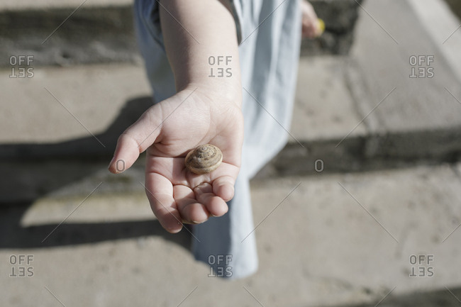 Snail shell on little girl's palm