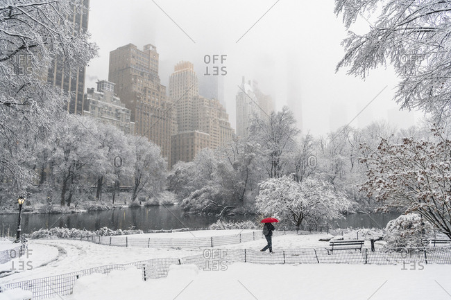 Single person walking through Central Park as snow falls in New York City