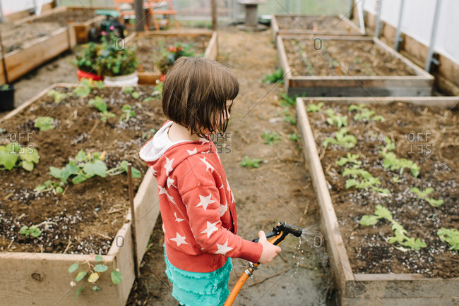 Young brunette girl spraying garden beds in greenhouse
