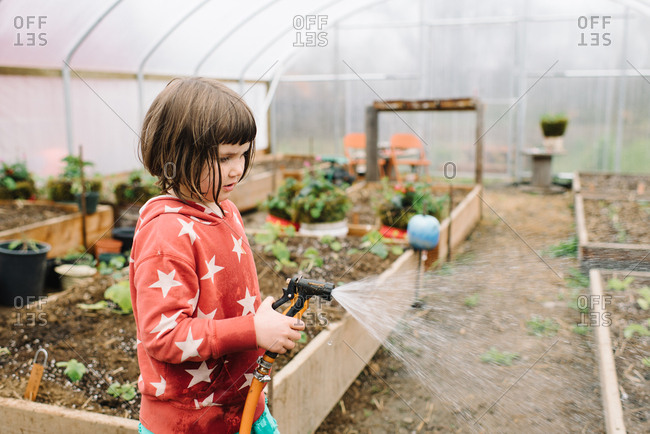 Girl helping water greenhouse vegetables