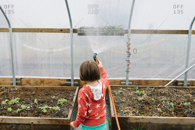 Brunette girl spraying hanging vegetable bed on greenhouse wall