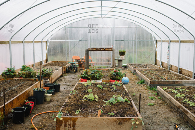 Raised vegetable garden beds inside large greenhouse
