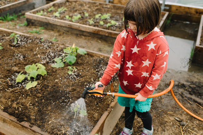 Higher angle view of young girl in hoodie helping water vegetables