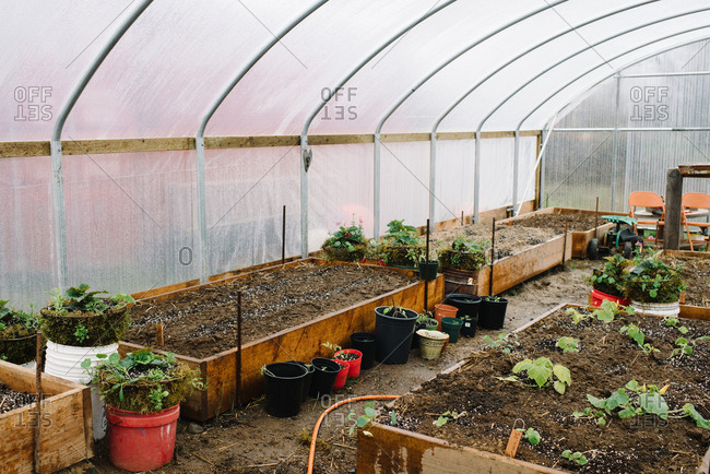 Assorted plastic pots and wooden garden beds in greenhouse