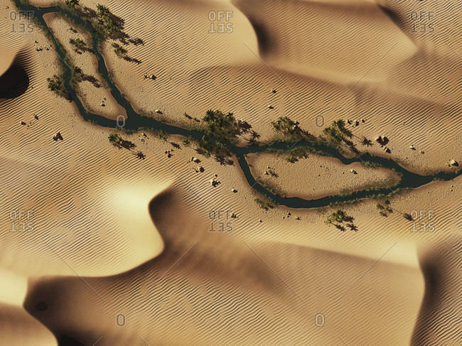 Aerial of river with palm trees in desert.