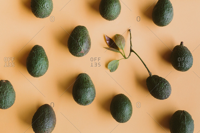 Avocado pattern from the Offset Collection