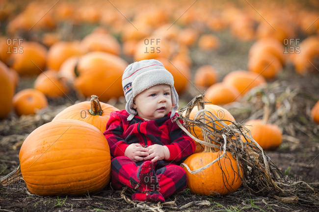 Baby sitting in a pumpkin patch