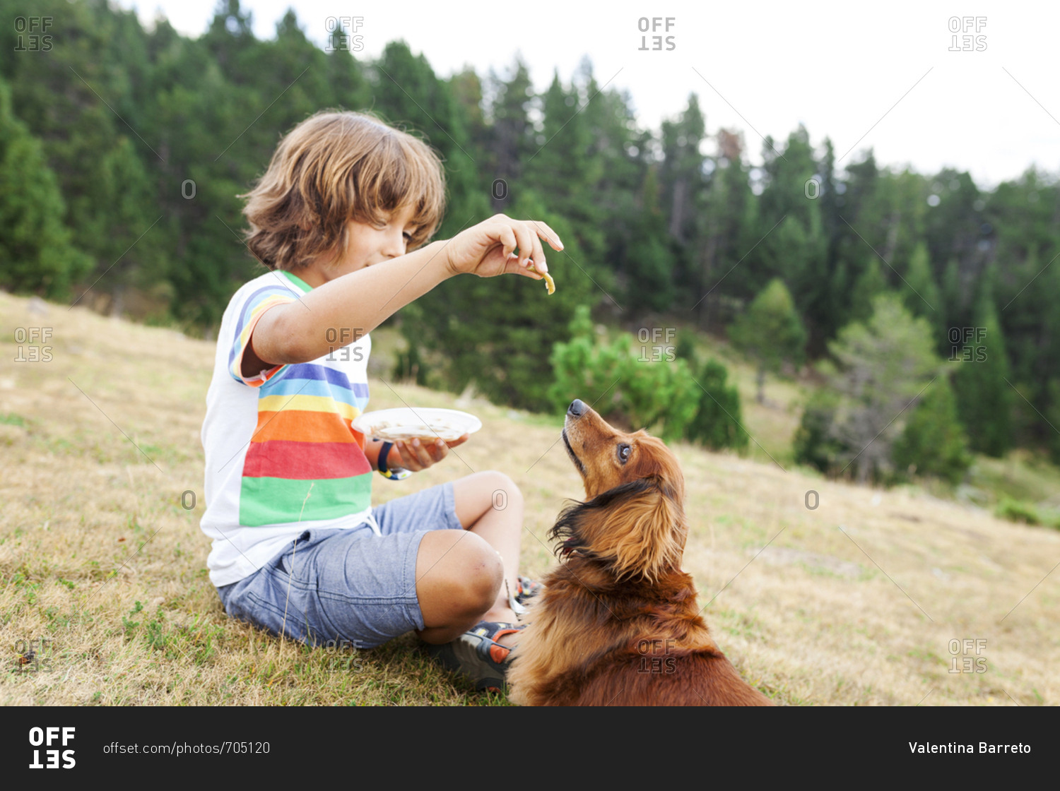 Young boy feeding dog snacks in a field