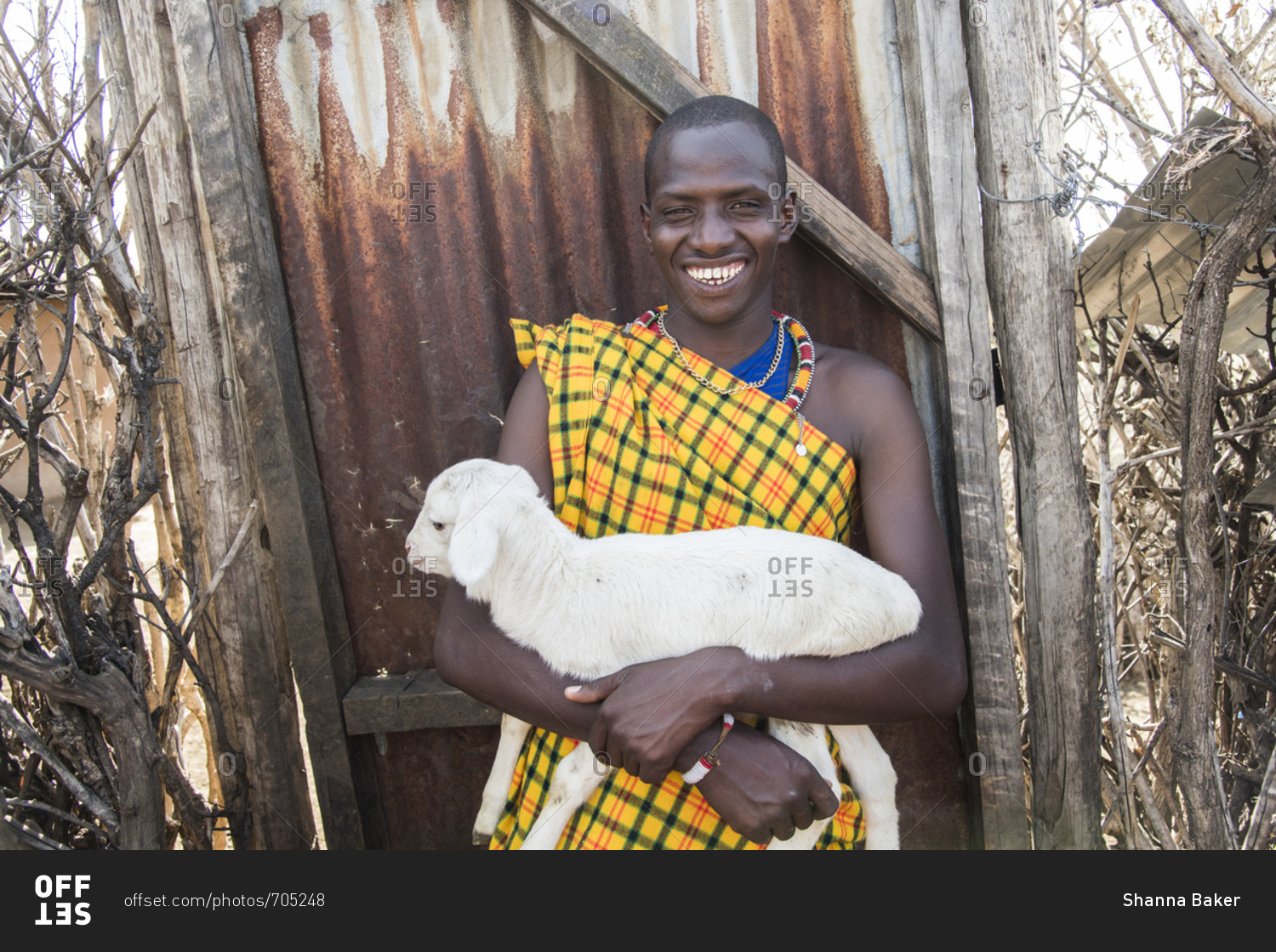 Smiling Maasai villager holding a baby goat at Maasai Mara in Kenya