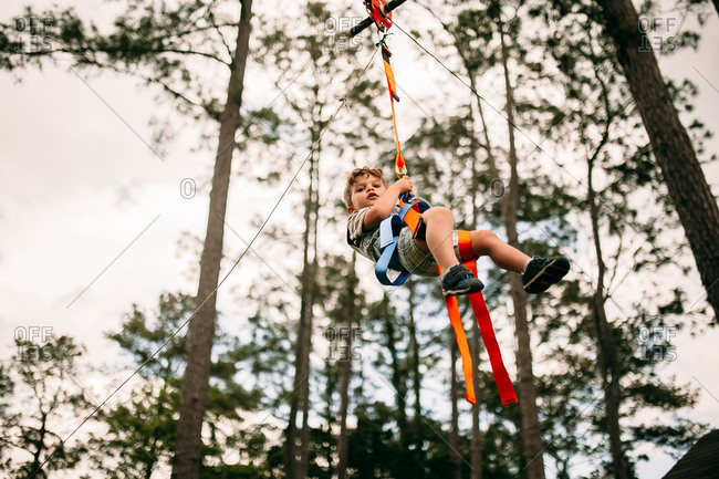 Brave young boy zip lining in tree