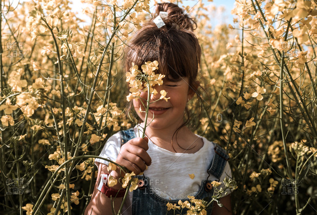 Girl stands in the middle of yellow flowers