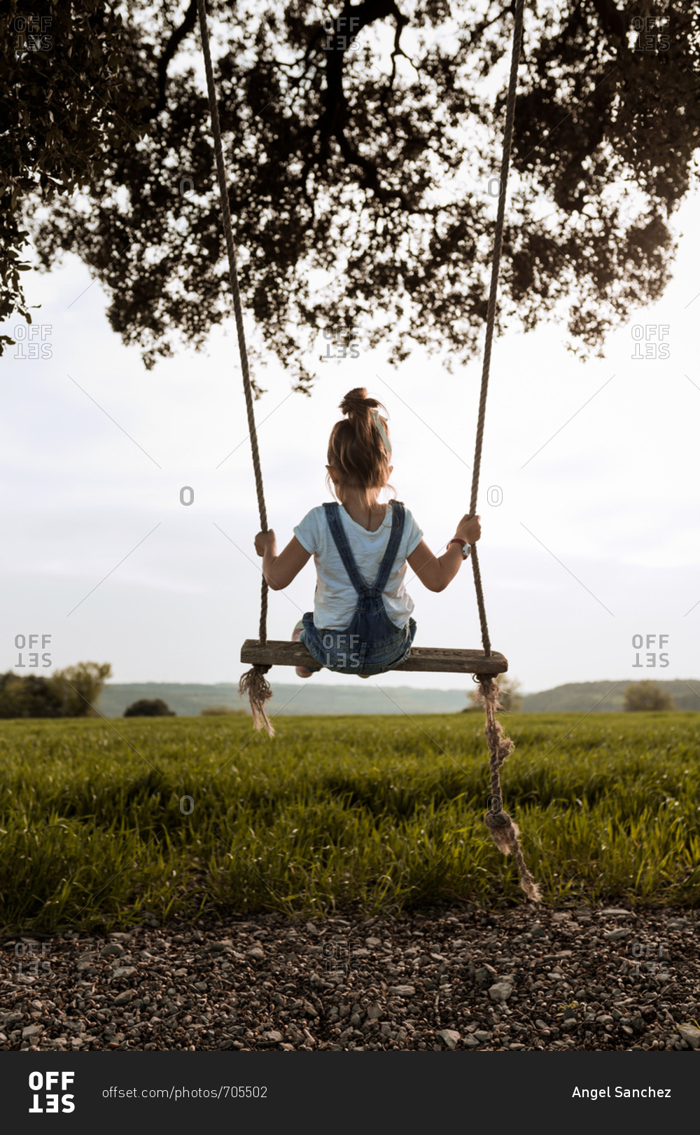 Rear view of a little blonde girl playing with a swing in sunset