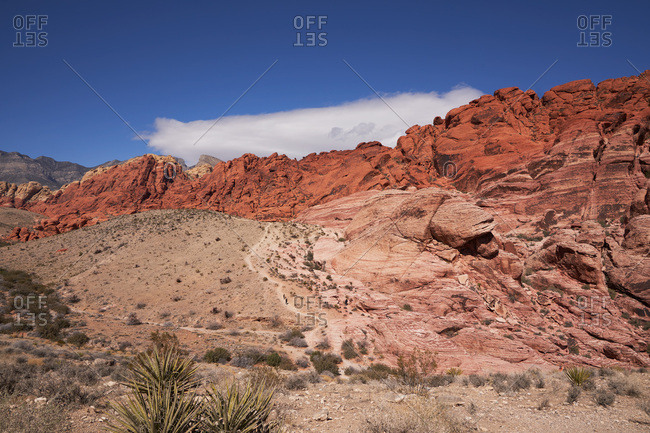 Landscape in Red Rock Canyon National Conservation Area, Nevada