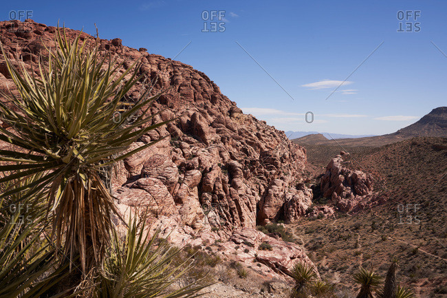 Arid landscape in Red Rock Canyon National Conservation Area, Nevada