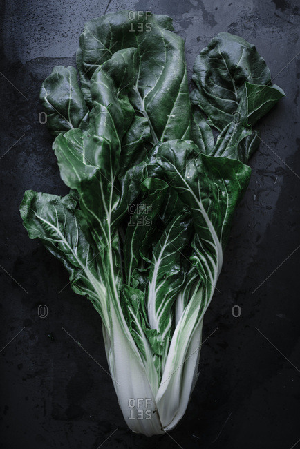 Chard or Swiss chard is a green leafy vegetable