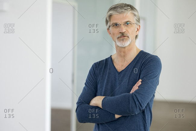 Portrait of a mature businessman