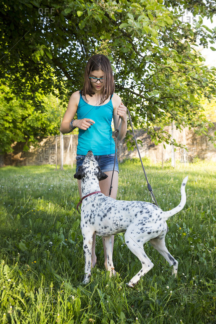 Girl teaching Dalmatian in the garden