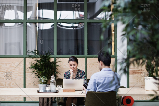 Professional using laptop while sitting with colleague at table in office