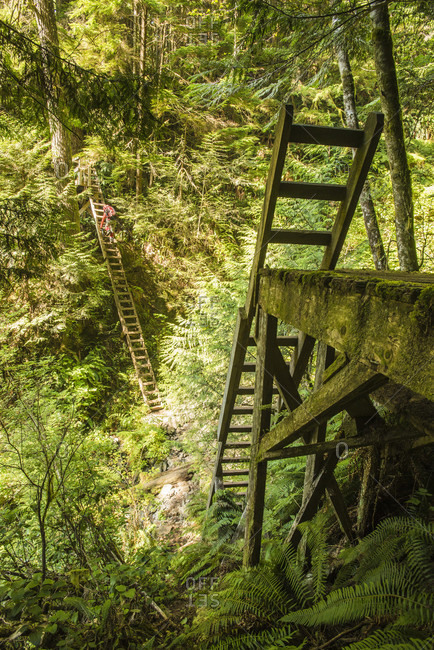 Backpacker climbing ladders while hiking along West Coast Trail, British Columbia, Canada