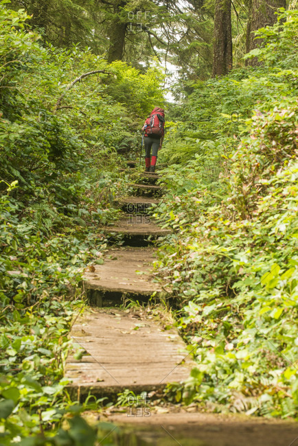 Backpacker walking along boardwalk through forest while hiking along West Coast Trail, British Columbia, Canada