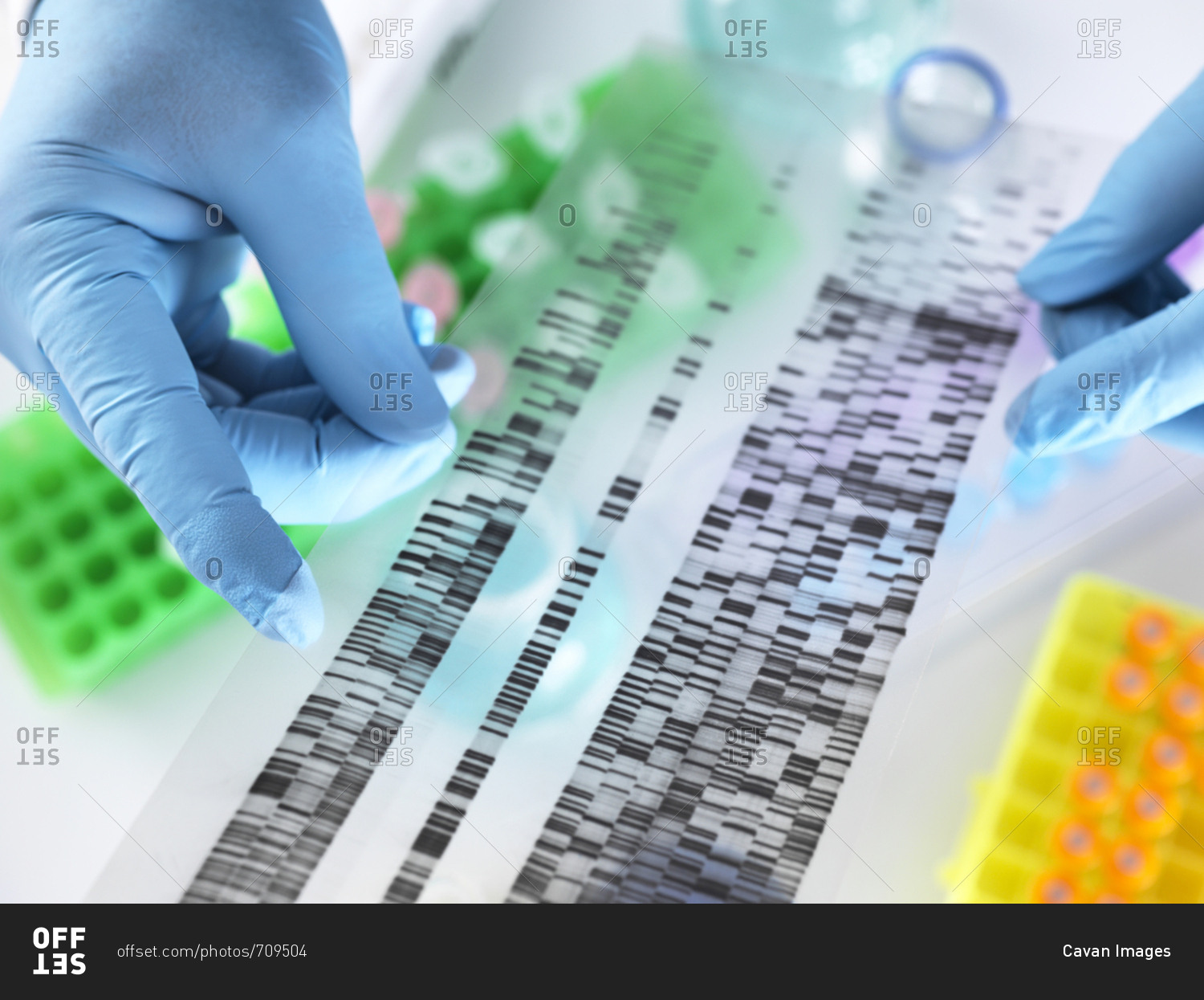 Cropped hands of scientist holding DNA gel while working in laboratory