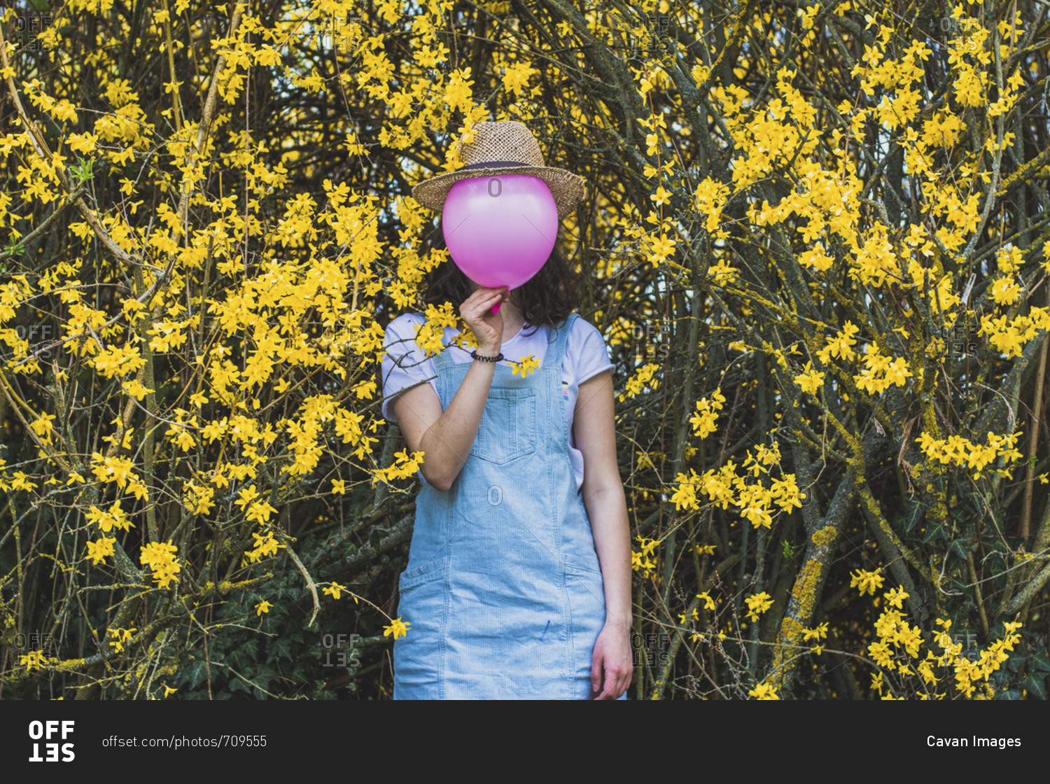 Playful young woman holding pink helium balloon with hat against face while standing by yellow blossoms at park