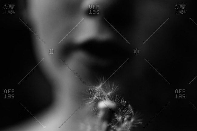 Black and white portrait of child with a dandelion