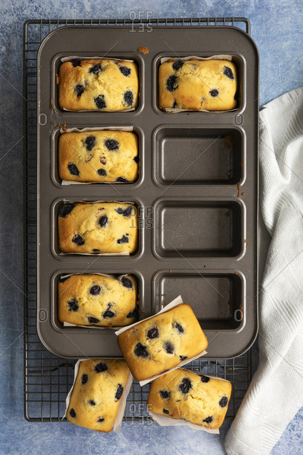 Freshly baked individual blueberry loaf cakes cooling in and on top of a baking pan.