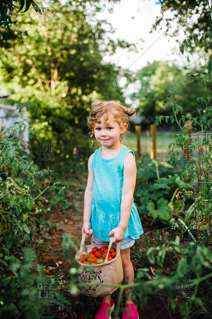 Girl holding bag of fresh picked tomatoes in a garden