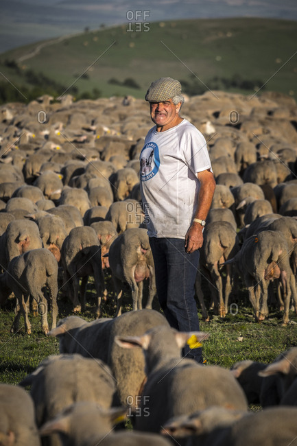 Soria, Spain - June 9, 2017: Shepherd on the transhumance route in the Soria region of Spain