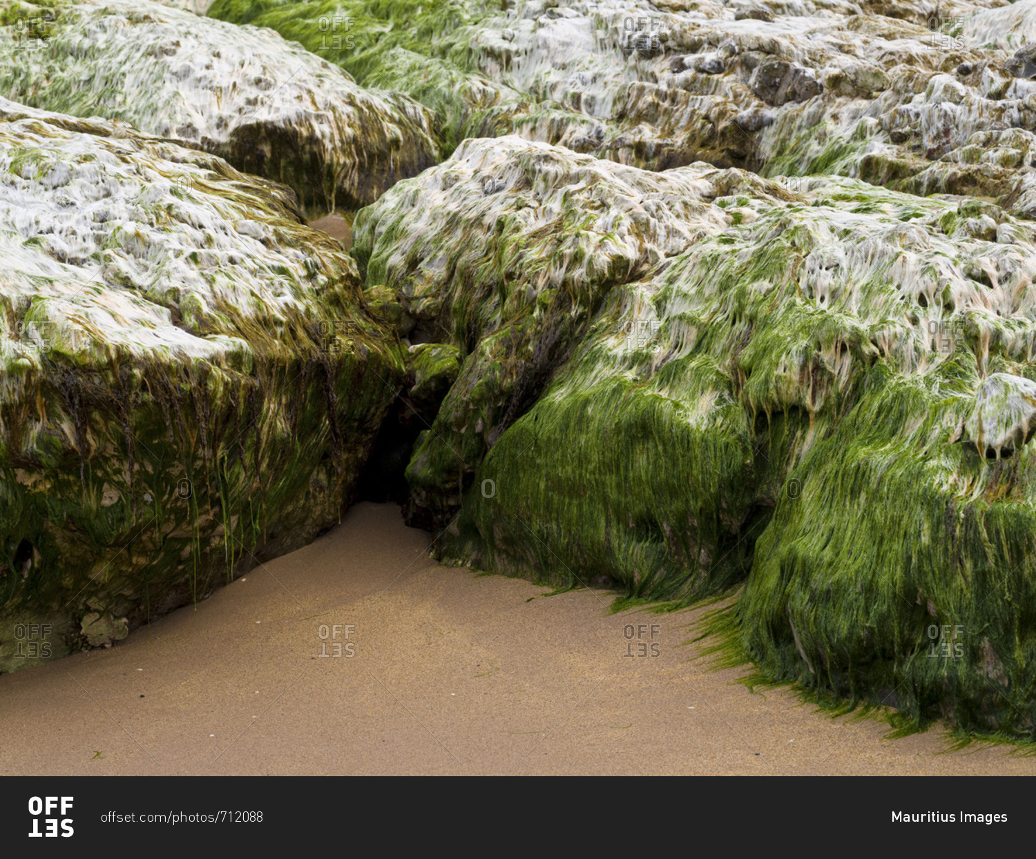 Northern Ireland, Antrim, Causeway Coast, mussel limestone with algae in the sandy beach