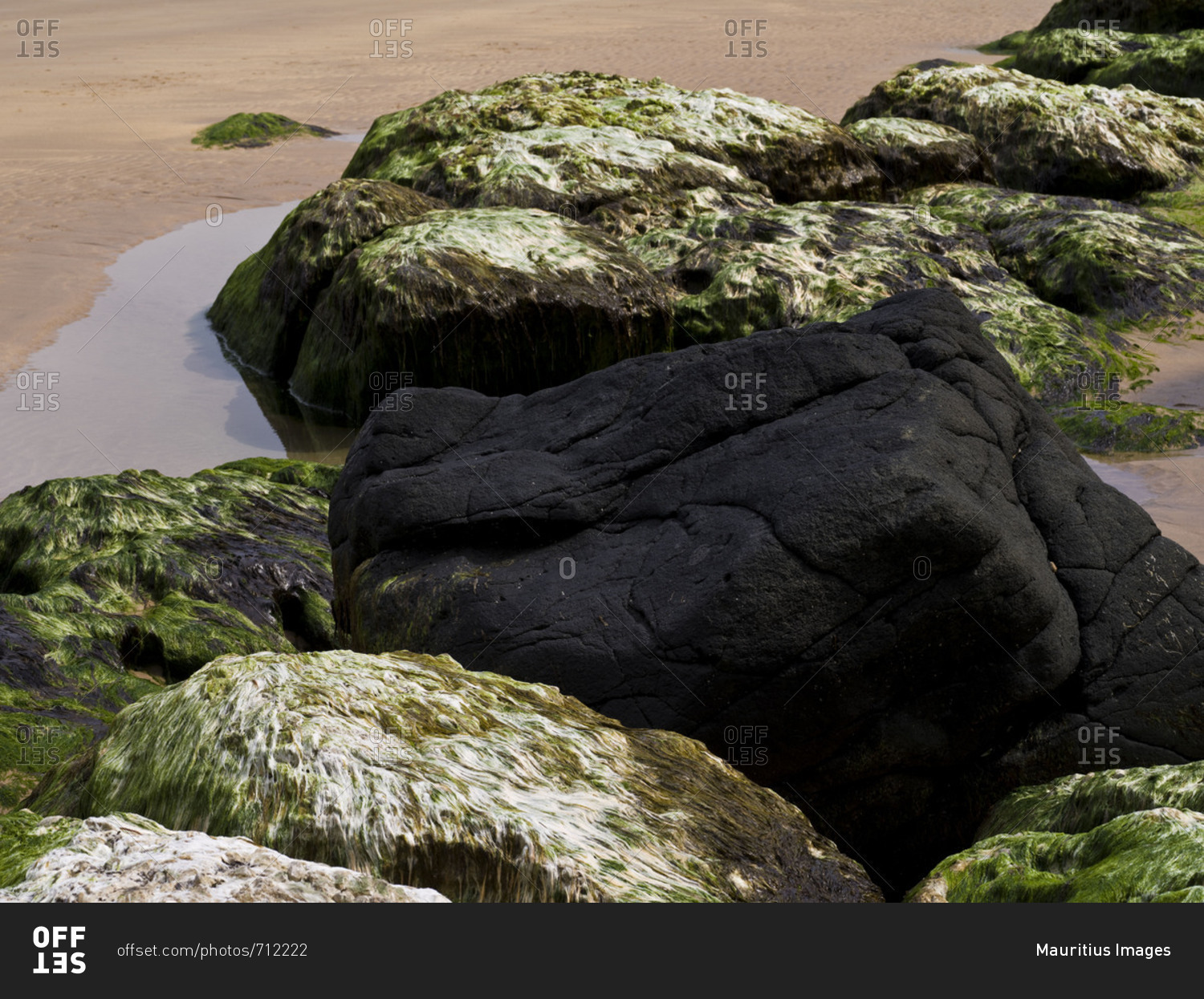 Northern Ireland, Antrim, Causeway Coast, mussel limestone with green algae and dark basalt stone in the sandy beach