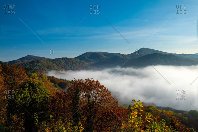 Autumn magic in the Siebengebirge (hill range of the German Central Uplands), coloured autumn forests and fog bank in the valley