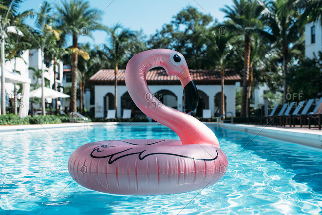 Flamingo pool float in a pool