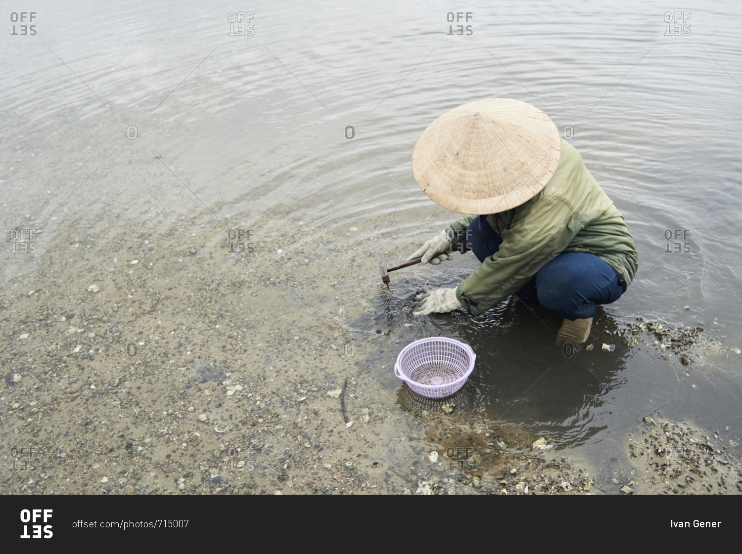 Overhead of faceless woman fishing clamshells in lake with hat and basket