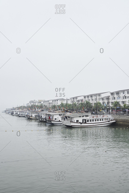 Bunch of cruise boats moored at the harbor ready for tourists against hotel buildings
