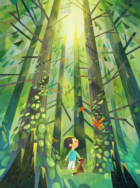 Child and fox standing in the sunlight coming through the tall trees in a forest grove