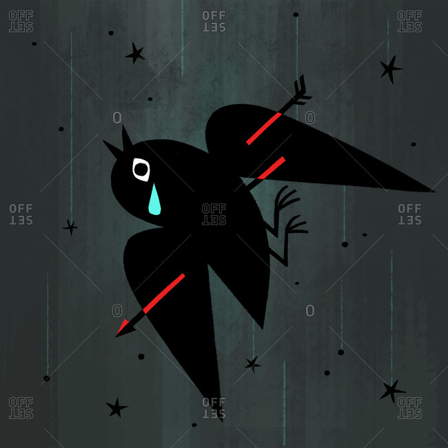 Blackbird with an arrow through its body falling through the sky