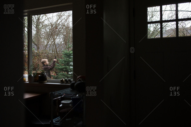 Young boy trimming pine tree