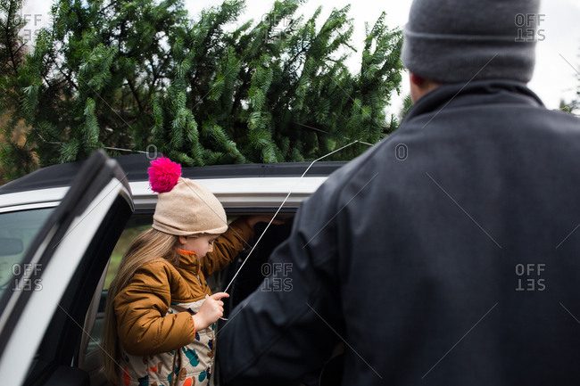 Girl tying tree to car rooftop while father watches
