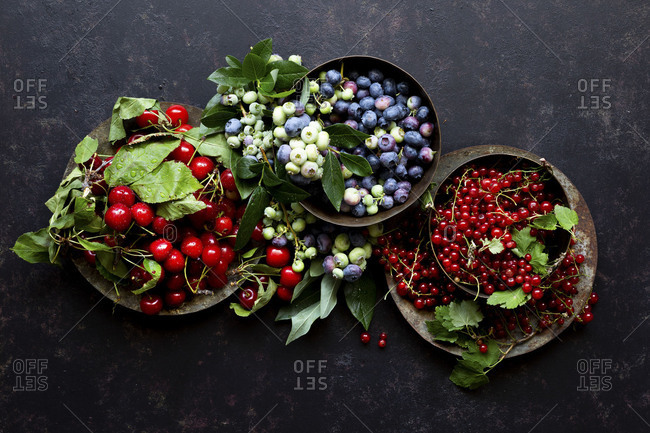 Assortment of colorful Summer fruits