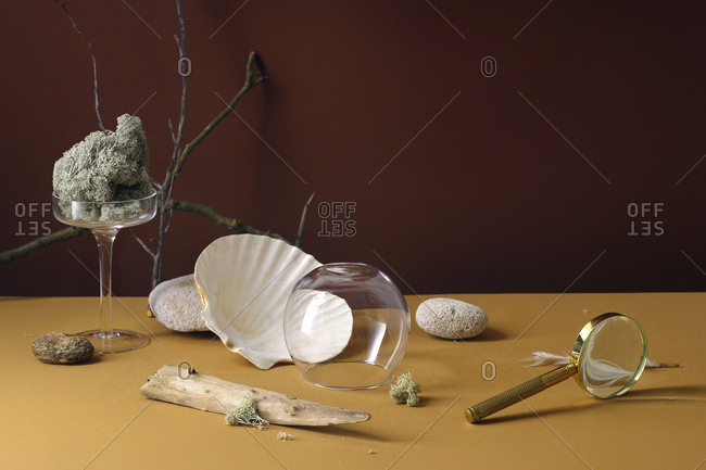 Minimalistic still life with sea shell and forest moss with glass accessories