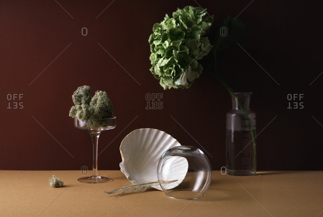 Minimalistic still life with hydrangea flower, sea shell and forest moss with glass accessories