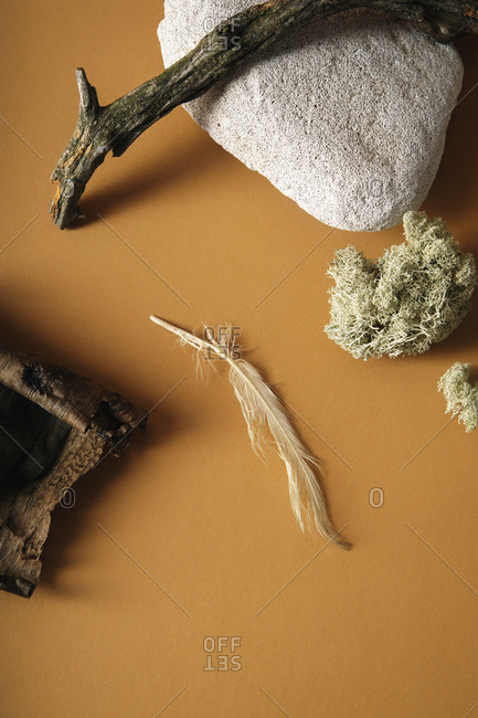 Minimalistic still life with white stones, feather and forest moss