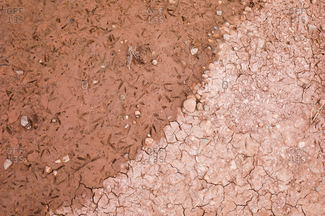 Top view of cracked mud in desert