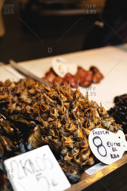 Snails for sale in a market